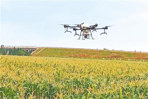 1609401020559197.jpg 1609401020559197.jpg