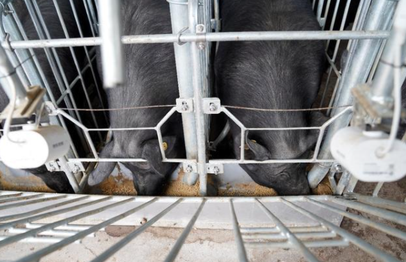 1618797915191491.png image.png