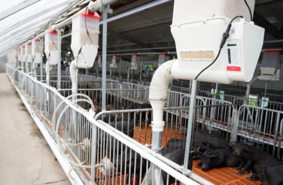 1618797943139917.png image.png