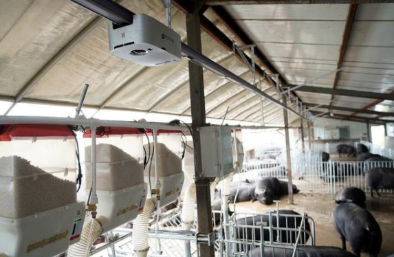 1618797994137396.png image.png