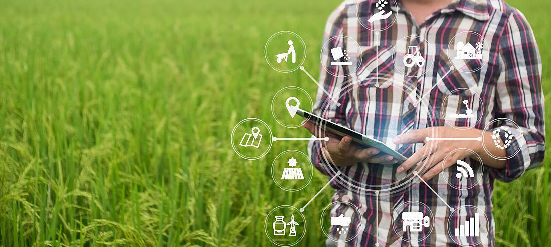 1618977168373515.png image.png