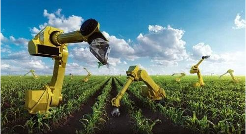 1618977259125377.png image.png