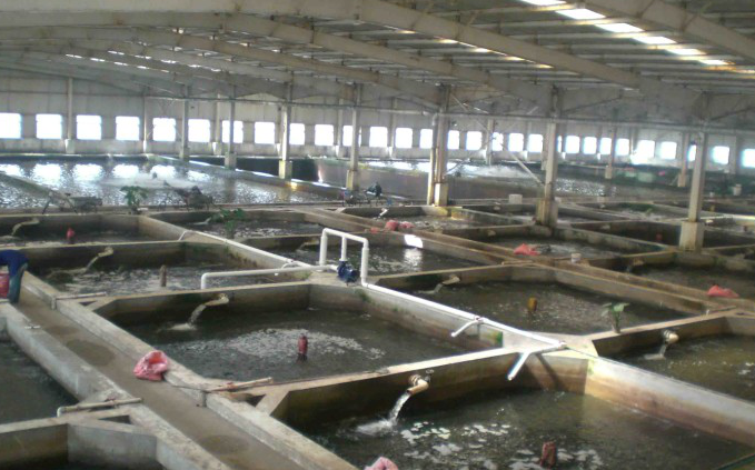 1619144454125652.png image.png