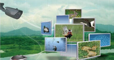 1619314680376312.png image.png