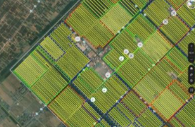 1619315373924796.png image.png