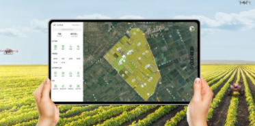 1619402684138484.png image.png