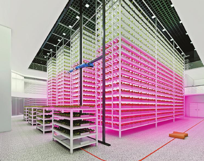 1622519065100091.png image.png