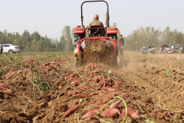 1626769906578691.png image.png