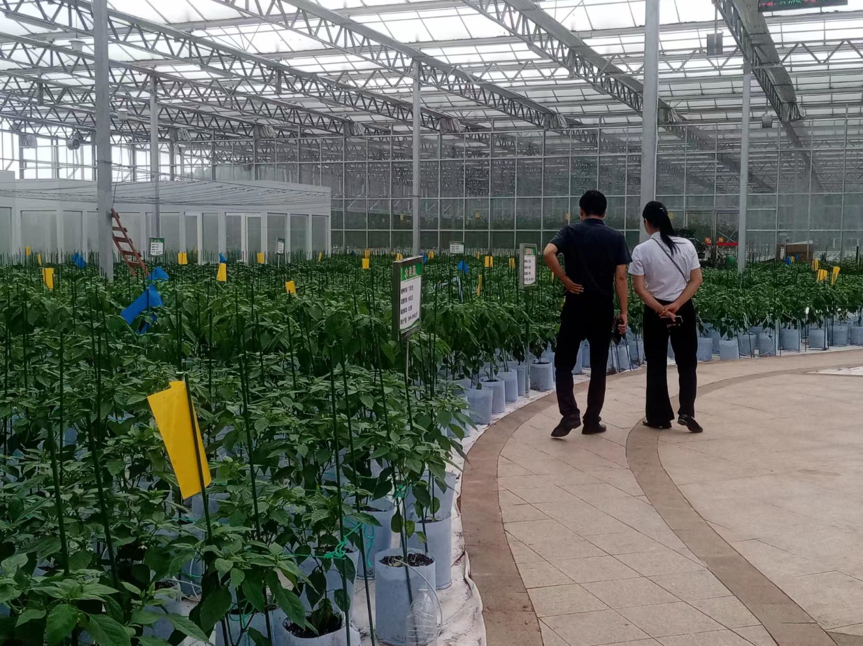 1695369207134930.png 1695369207134930.png