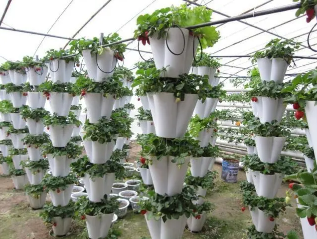 1711443205116138.png 2.png