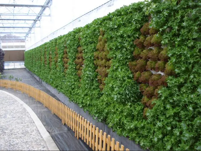 1711443447250746.png 3.png