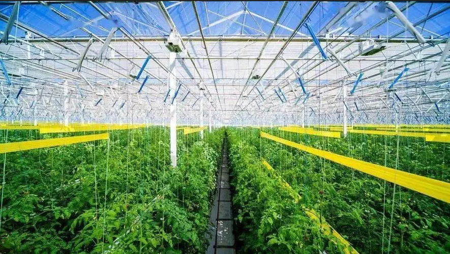 1711443729105905.png 04.png