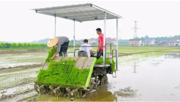 1733737063421496.png 9.png