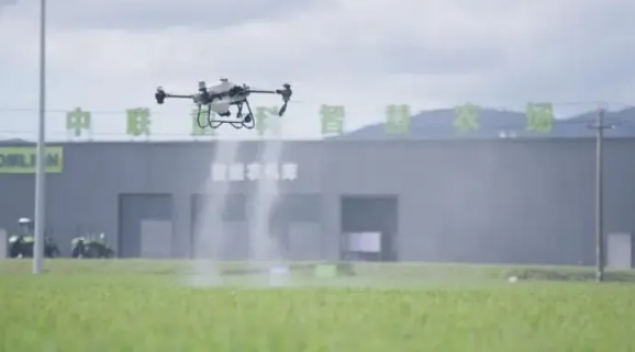 1733737119605629.png 11.png