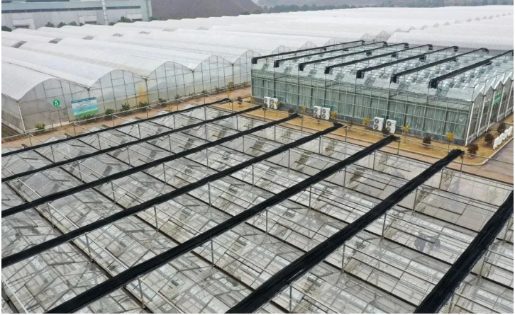 1742371663845617.png 1.png